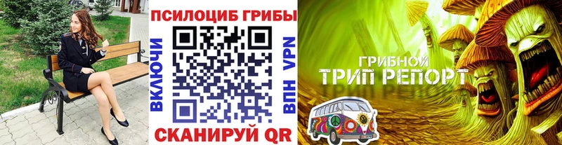 Галлюциногенные грибы мухоморы  Камызяк 